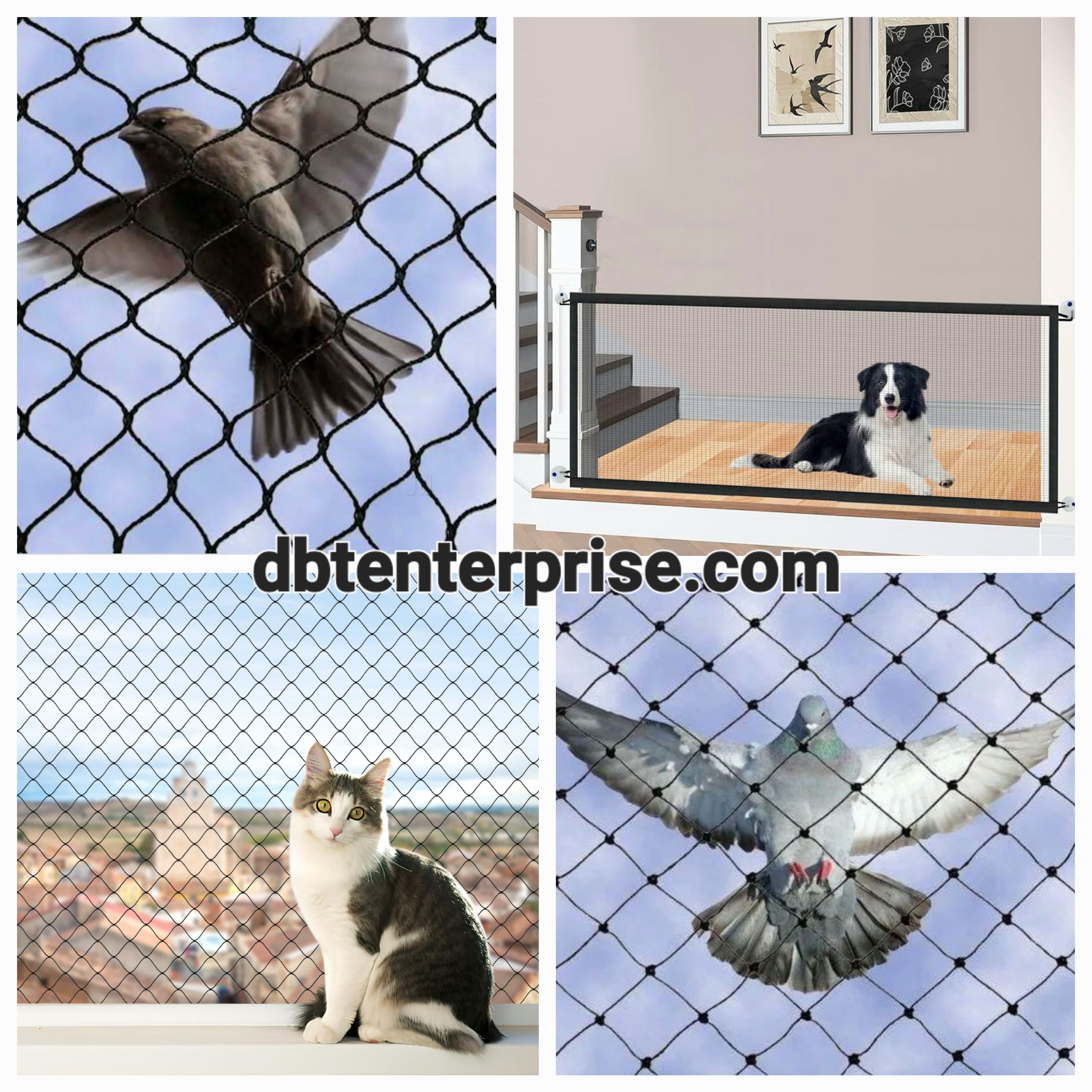 Service Image